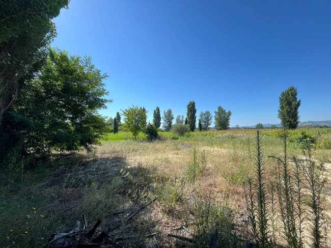 Casa singola in vendita a Collazzone