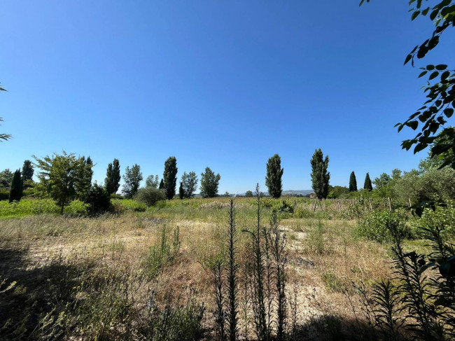 Casa singola in vendita a Collazzone