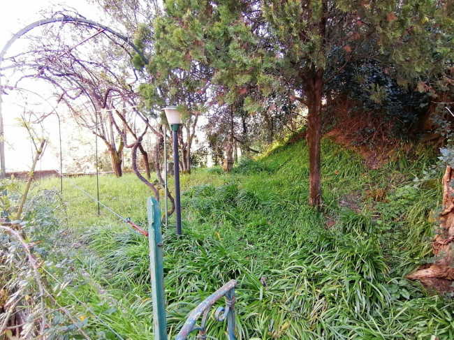 Cielo Terra in vendita a Marsciano
