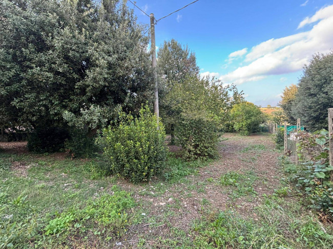 Casa singola in vendita a Marsciano