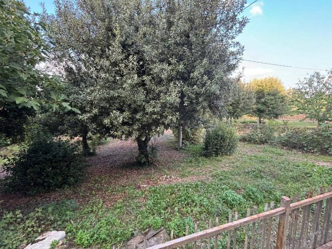 Casa singola in vendita a Marsciano