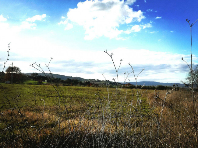 Land for sale in Marsciano