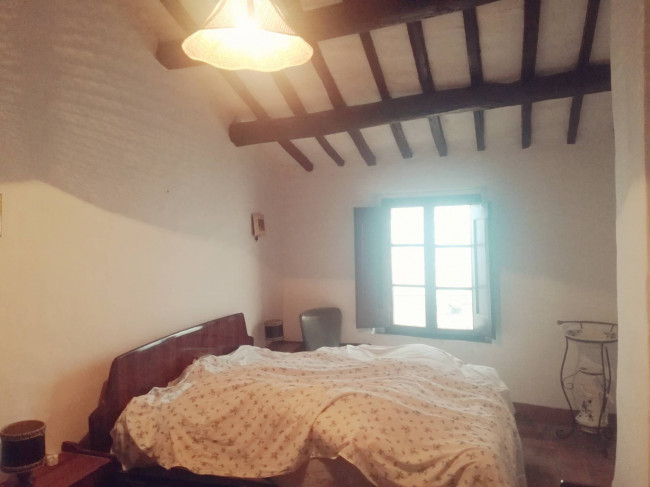 Cielo Terra in vendita a Marsciano