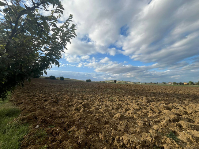 Casale in vendita a Marsciano