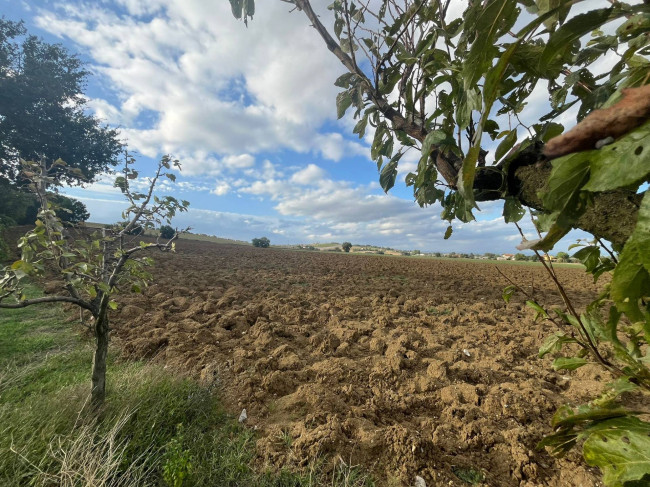 Casale in vendita a Marsciano