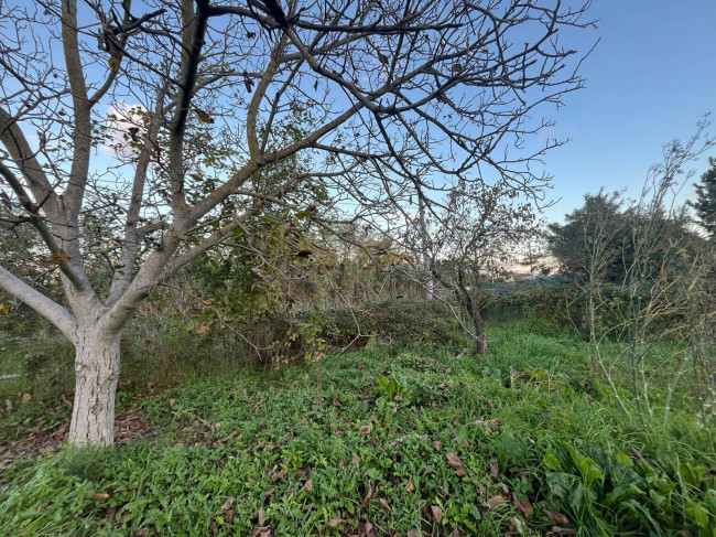 Casa singola in vendita a Marsciano