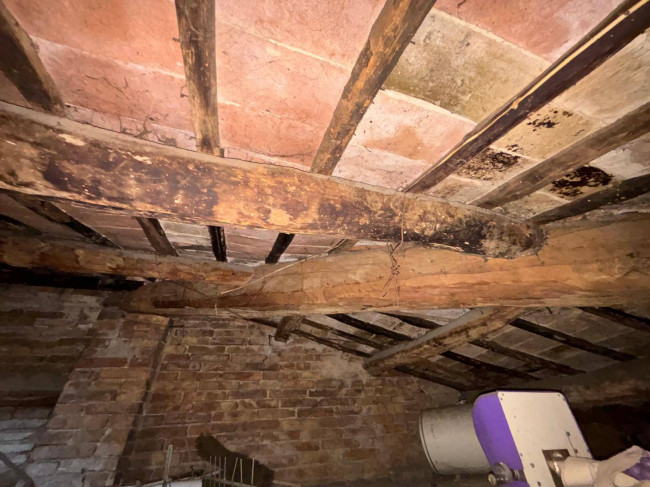 Cielo Terra in vendita a Marsciano