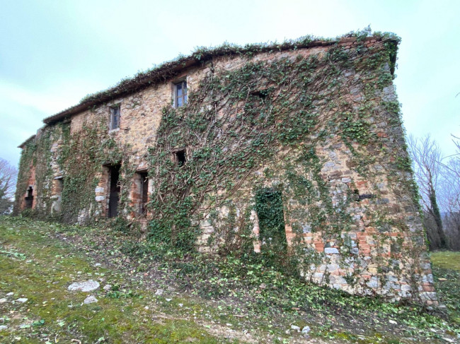 Rustico in vendita a San Venanzo