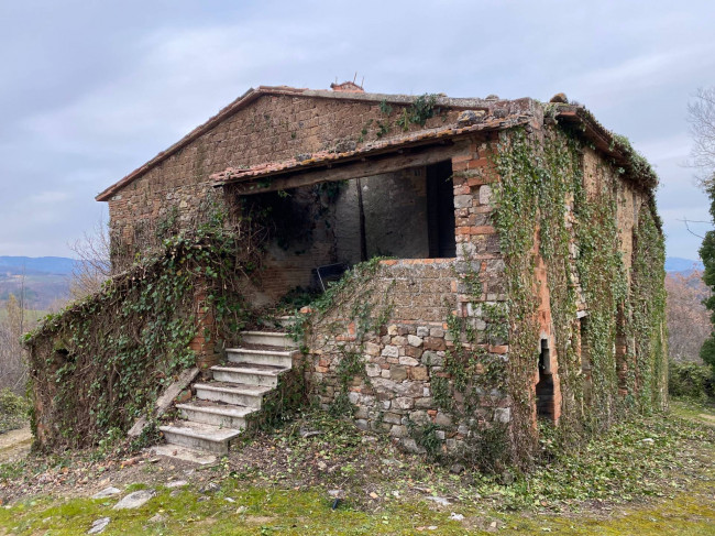 Rustico in vendita a San Venanzo