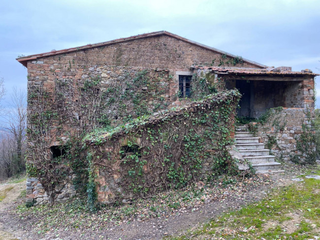 Rustico in vendita a San Venanzo