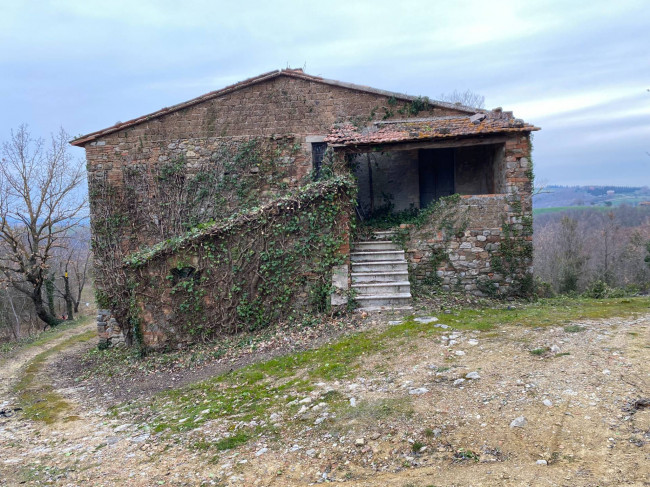 Rustico in vendita a San Venanzo