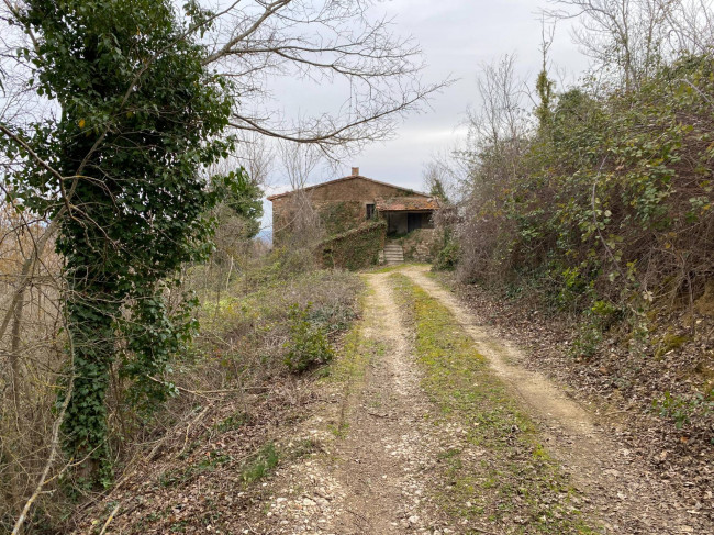 Rustico in vendita a San Venanzo