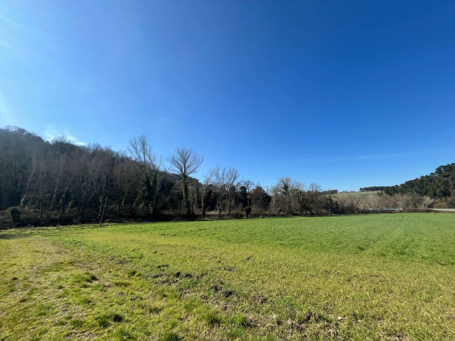 Terreno Agricolo in vendita a Collazzone