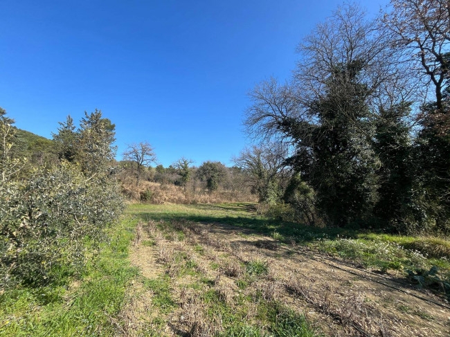 Terreno Agricolo in vendita a Collazzone