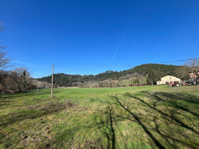 Terreno Agricolo in vendita a Collazzone