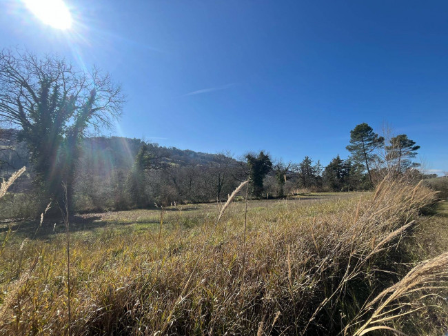 Terreno Agricolo in vendita a Collazzone
