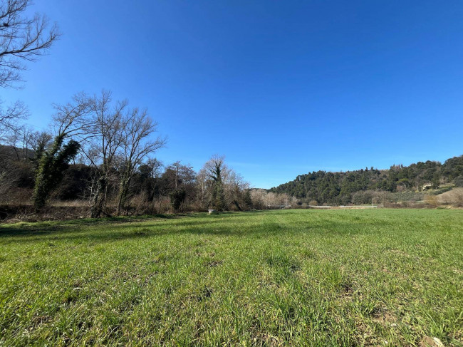 Terreno Agricolo in vendita a Collazzone