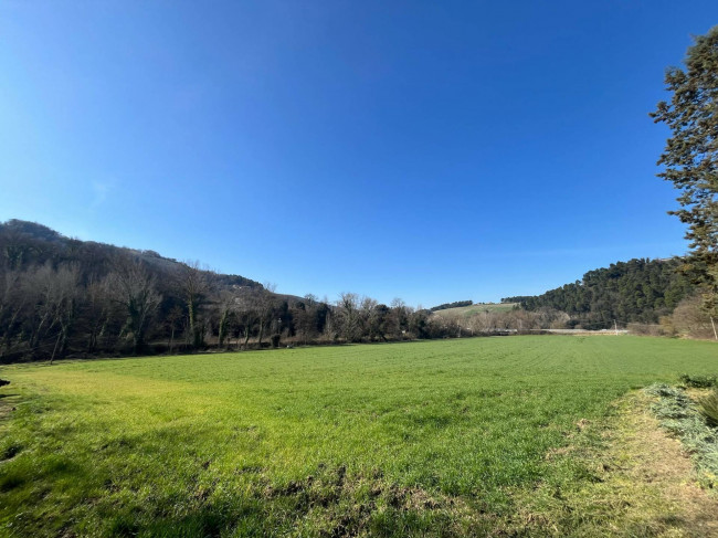 Terreno Agricolo in vendita a Collazzone