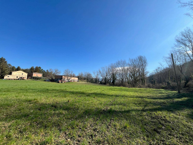 Terreno Agricolo in vendita a Collazzone
