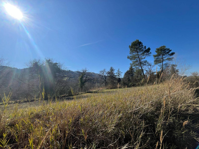 Terreno Agricolo in vendita a Collazzone