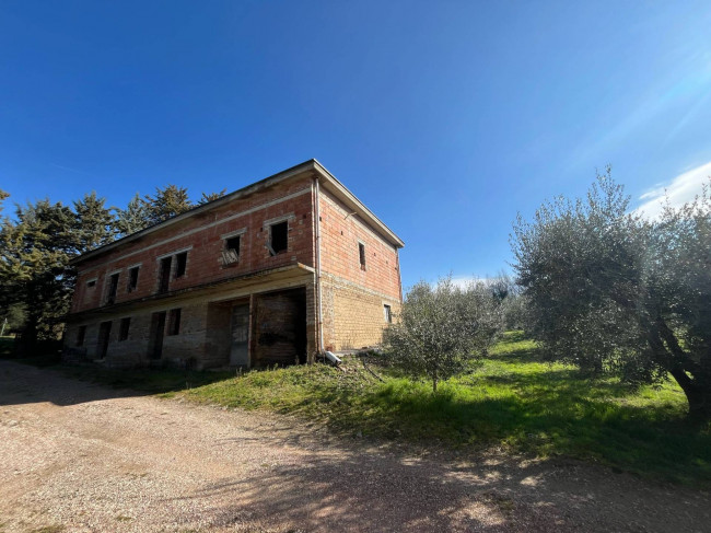 Terreno Agricolo in vendita a Collazzone