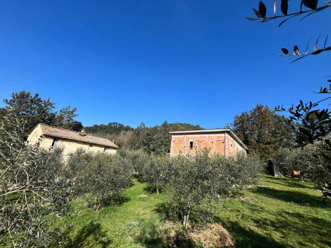 Terreno Agricolo in vendita a Collazzone
