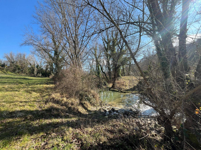 Terreno Agricolo in vendita a Collazzone
