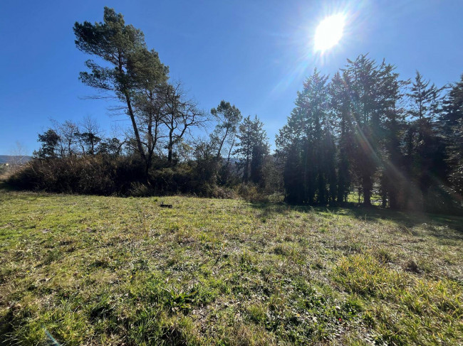 Terreno Agricolo in vendita a Collazzone