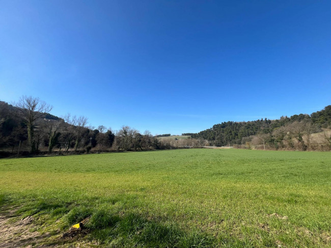 Terreno Agricolo in vendita a Collazzone