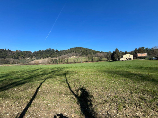 Terreno Agricolo in vendita a Collazzone
