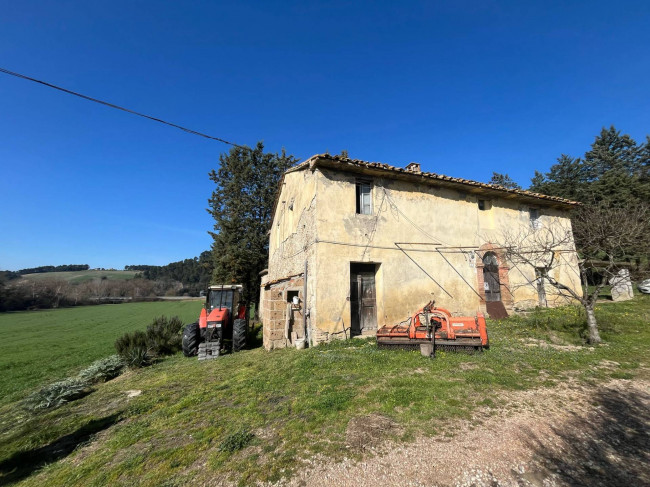 Terreno Agricolo in vendita a Collazzone