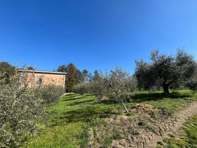 Terreno Agricolo in vendita a Collazzone