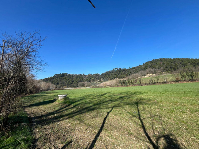 Terreno Agricolo in vendita a Collazzone