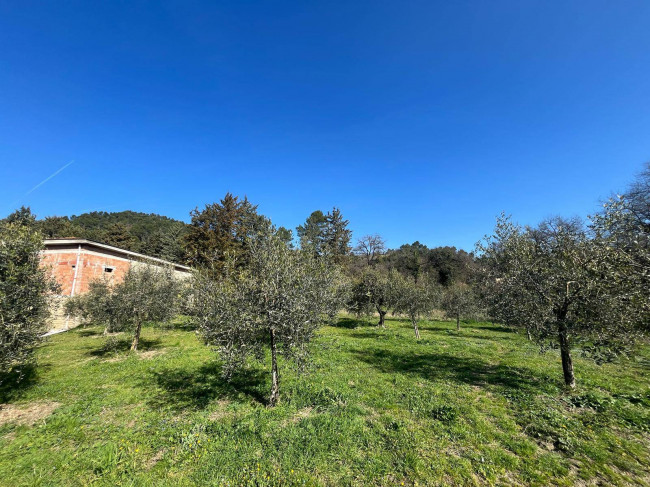 Terreno Agricolo in vendita a Collazzone