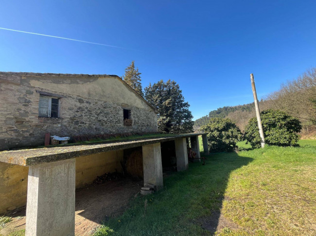 Terreno Agricolo in vendita a Collazzone