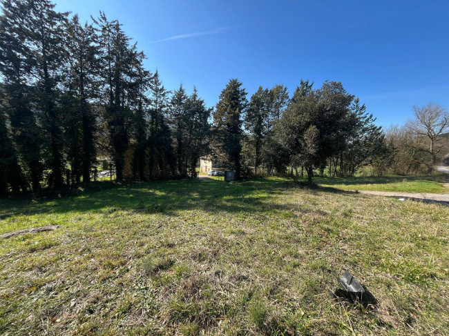 Terreno Agricolo in vendita a Collazzone