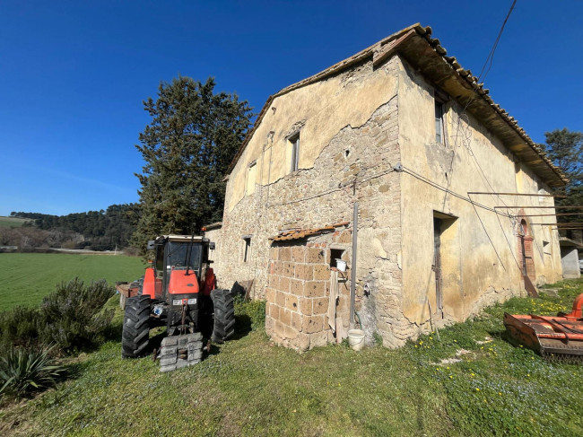 Terreno Agricolo in vendita a Collazzone