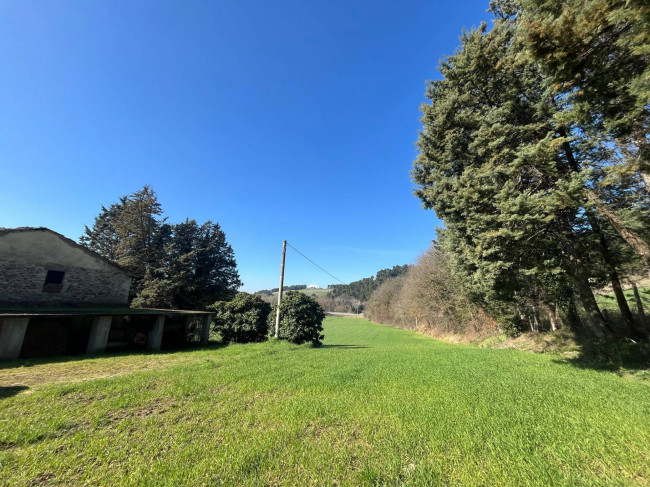 Terreno Agricolo in vendita a Collazzone
