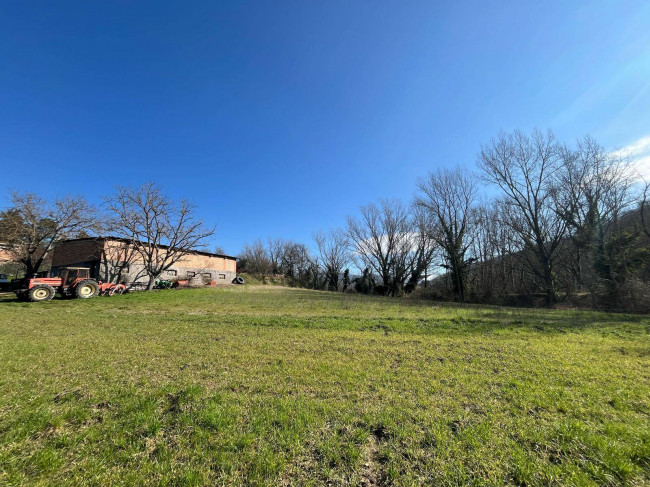 Terreno Agricolo in vendita a Collazzone