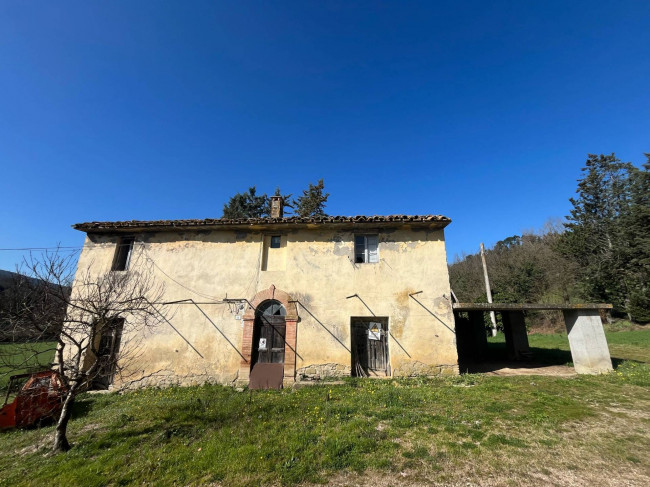 Terreno Agricolo in vendita a Collazzone