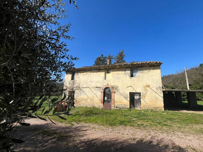 Terreno Agricolo in vendita a Collazzone
