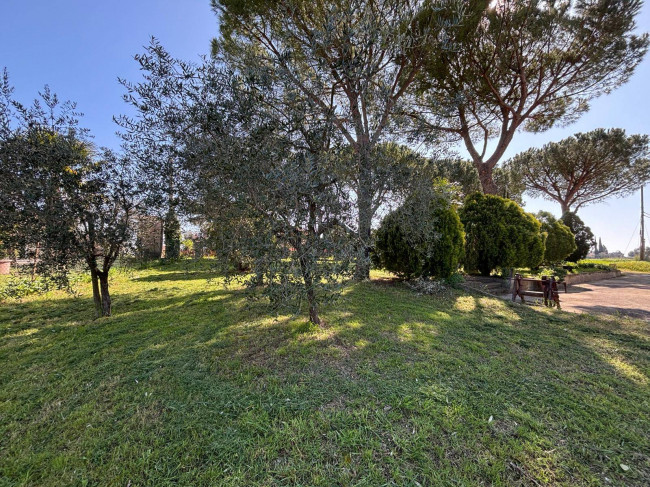 Casa singola in vendita a Marsciano