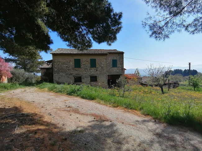 Casa singola in vendita a San Venanzo