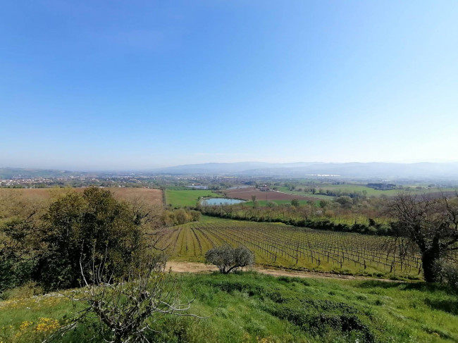 Casa singola in vendita a San Venanzo