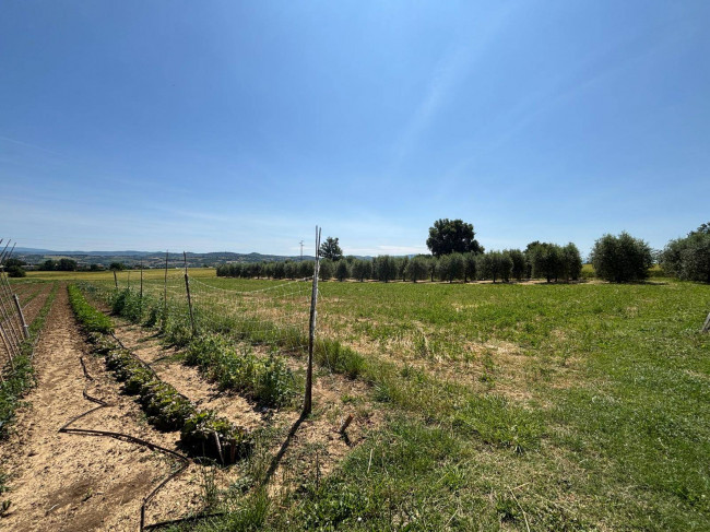 Villetta Bifamiliare in vendita a Fratta Todina