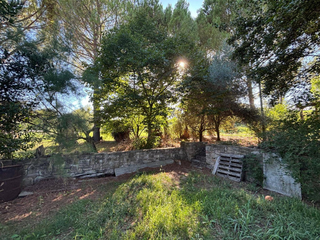 Appartamento in vendita a Fratta Todina