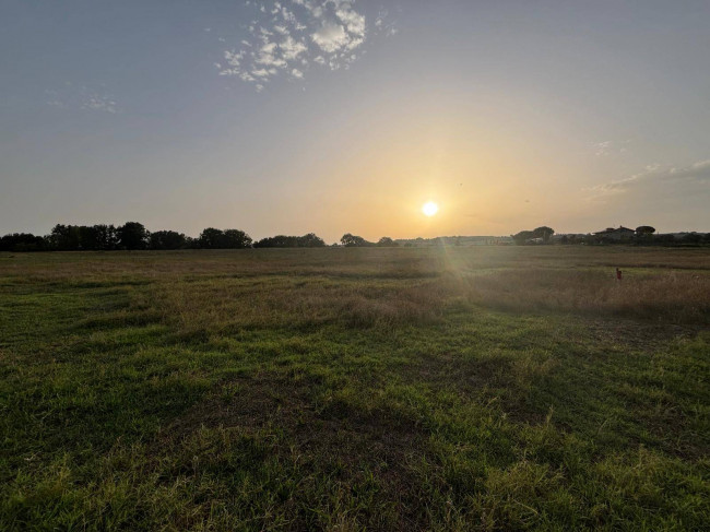 Terreno Agricolo in vendita a Marsciano