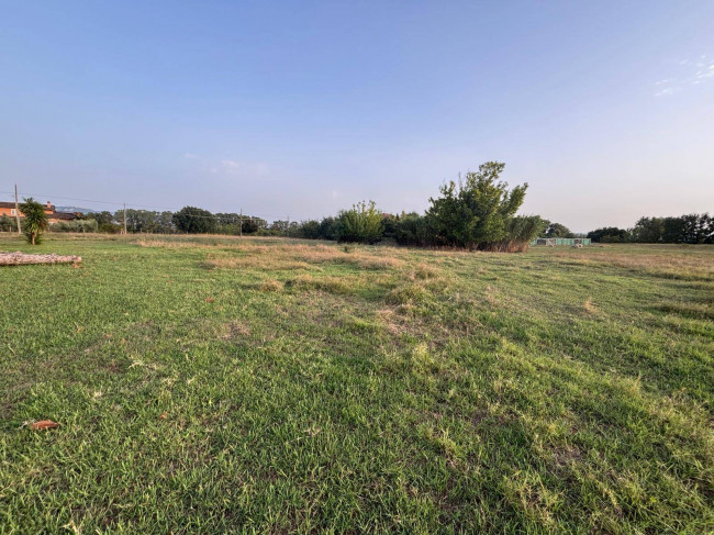 Terreno Agricolo in vendita a Marsciano