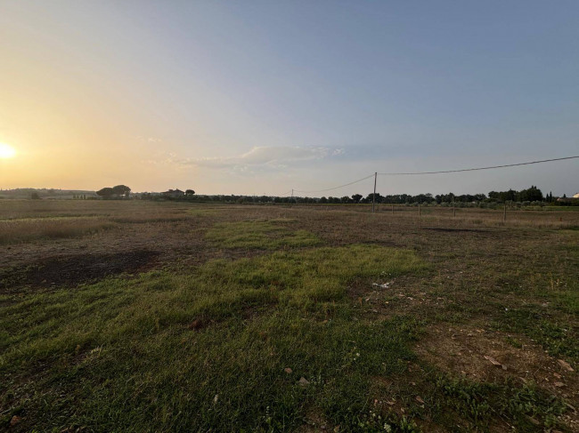 Terreno Agricolo in vendita a Marsciano