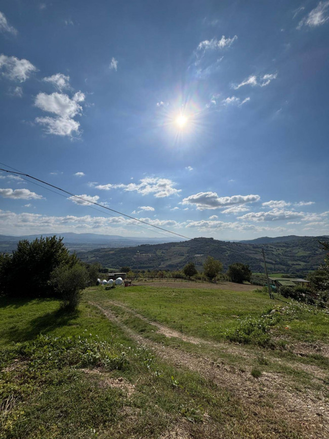 Villetta Bifamiliare in vendita a Fratta Todina